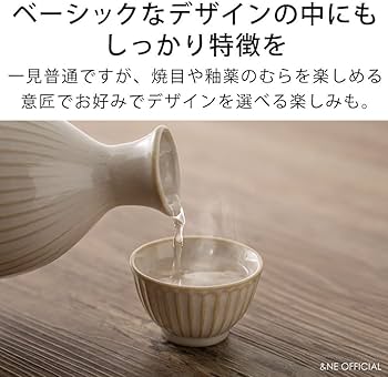 A62おちょこ Amazon.co.jp: アンドエヌイー(&NE) 美濃焼 とっくり・おちょこセット